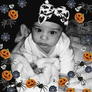 Meet your Posher, Evelyn